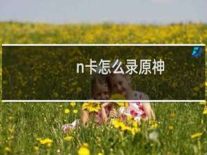 n卡怎么录原神