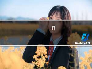 n.在英语中是什么意思