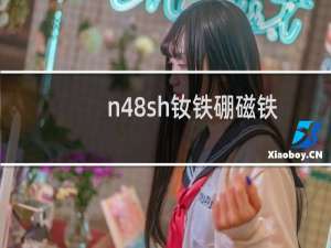 n48sh钕铁硼磁铁