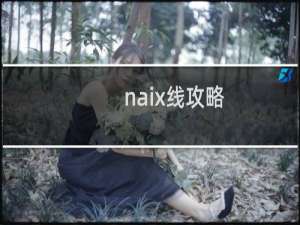 naix线攻略