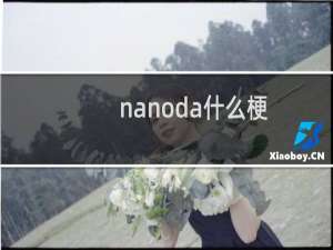 nanoda什么梗