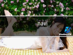 navi