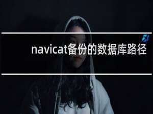 navicat备份的数据库路径