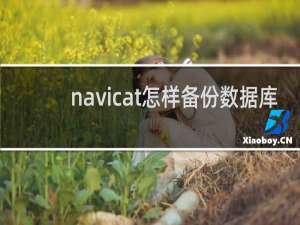 navicat怎样备份数据库