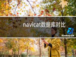 navicat数据库对比