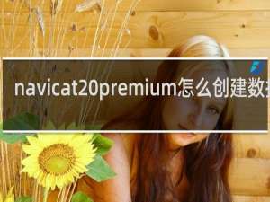 navicat premium怎么创建数据库