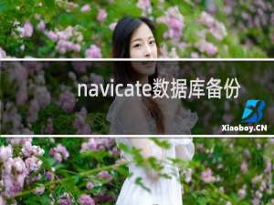 navicate数据库备份