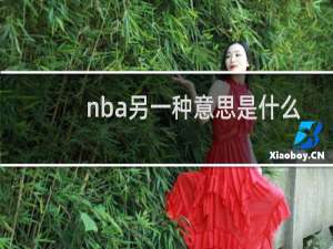 nba另一种意思是什么