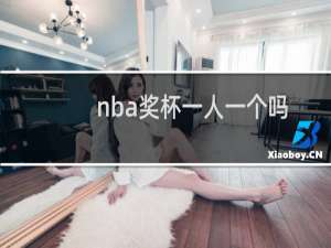 nba奖杯一人一个吗