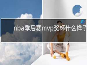 nba季后赛mvp奖杯什么样子