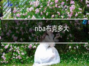 nba布克多大
