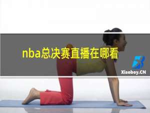 nba总决赛直播在哪看