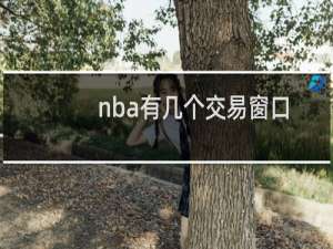 nba有几个交易窗口