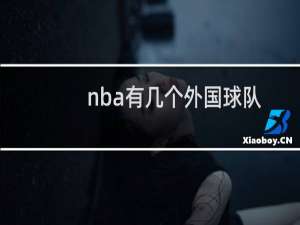 nba有几个外国球队