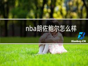 nba朗佐鲍尔怎么样
