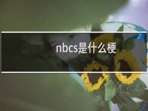 nbcs是什么梗