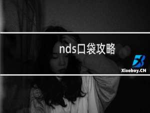 nds口袋攻略