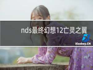 nds最终幻想12亡灵之翼