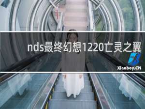 nds最终幻想12 亡灵之翼