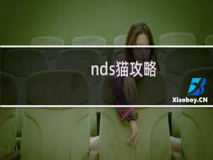 nds猫攻略