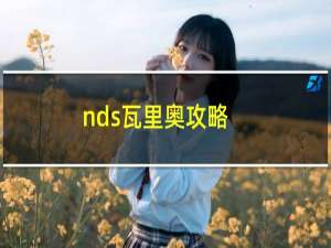 nds瓦里奥攻略