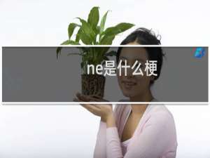 ne是什么梗