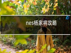 nes杨家将攻略