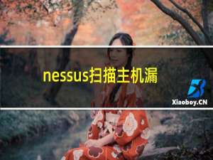 nessus扫描主机漏洞