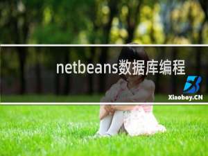 netbeans数据库编程