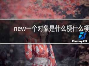 new一个对象是什么梗什么梗