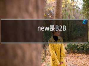 new是B2B