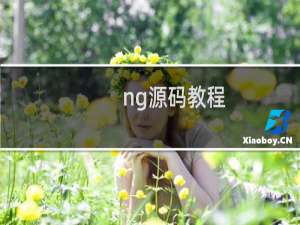 ng源码教程