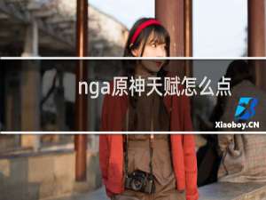 nga原神天赋怎么点