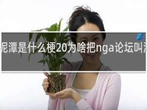 nga泥潭是什么梗 为啥把nga论坛叫泥潭什么梗