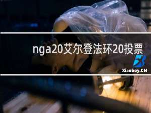 nga 艾尔登法环 投票