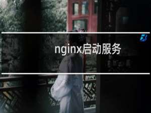 nginx启动服务