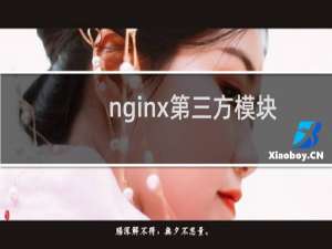 nginx第三方模块