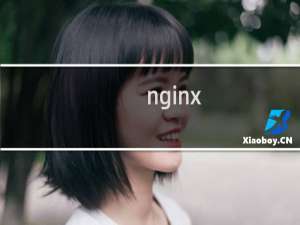 nginx laravel