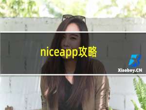 niceapp攻略