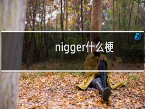 nigger什么梗