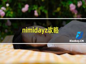 nimidayz攻略