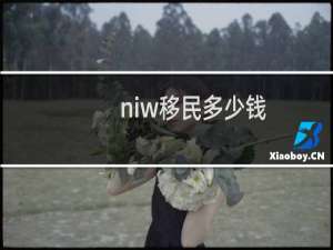 niw移民多少钱