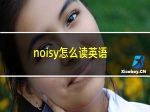 noisy怎么读英语
