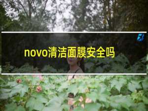 novo清洁面膜安全吗