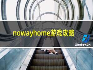 nowayhome游戏攻略