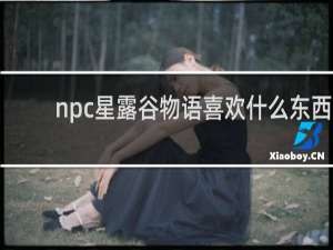 npc星露谷物语喜欢什么东西