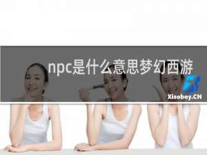 npc是什么意思梦幻西游