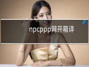 npcppp网开箱详细教程问题解答
