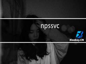 npssvc.exe - npssvc是什么进程 有什么用