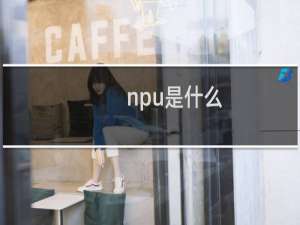 npu是什么（NPU有什么作用）